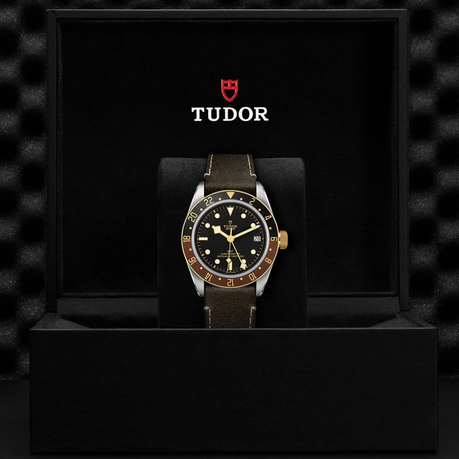 Black Bay GMT S&G